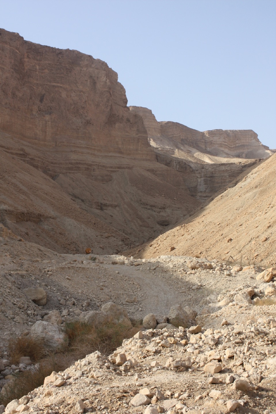 Masada