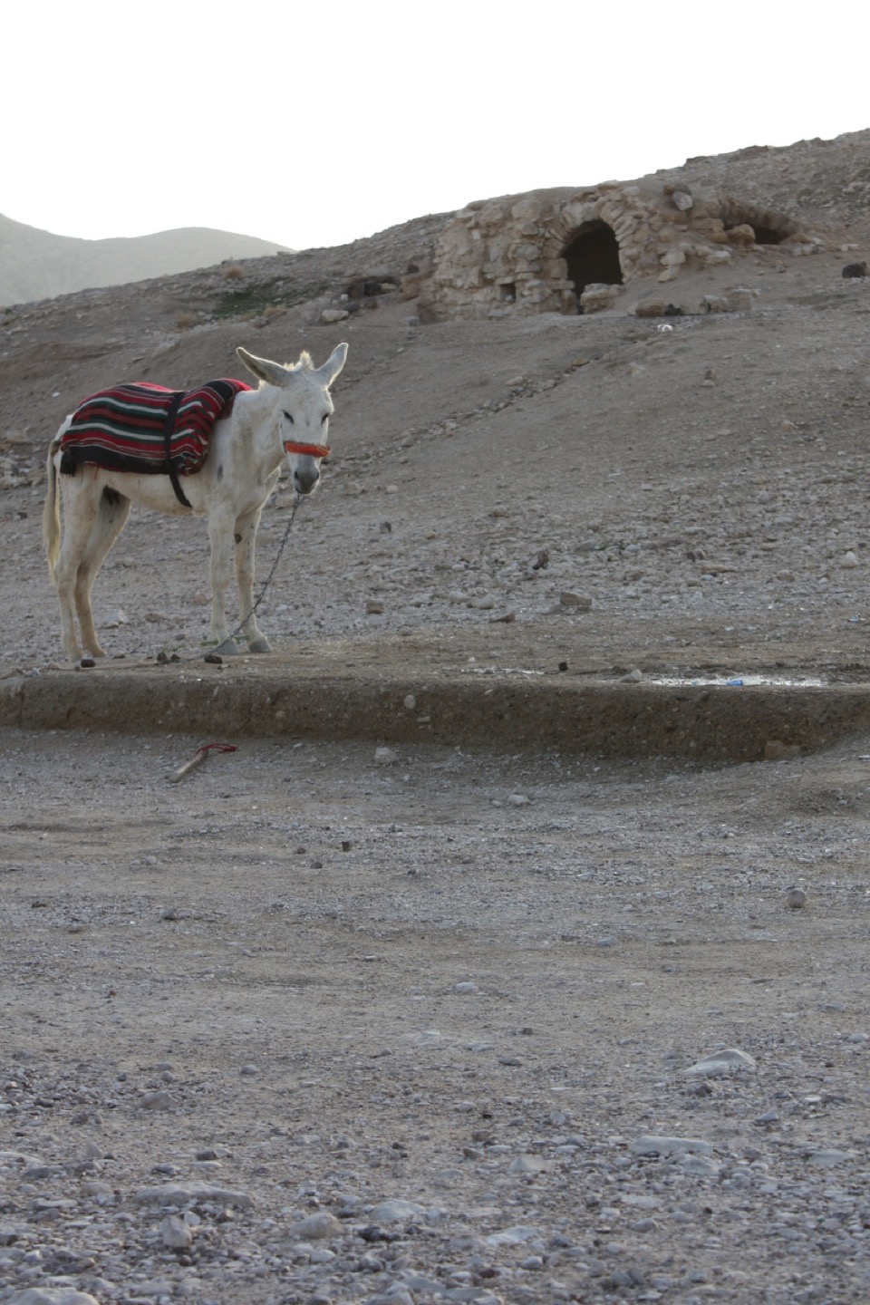 Masada